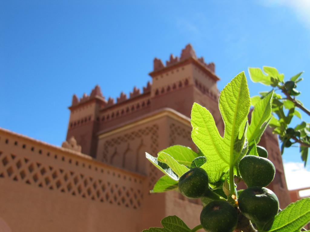Hotel Kasbah Ait Kassi Boumalne Exteriér fotografie